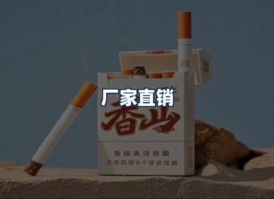 专业团队办公环境